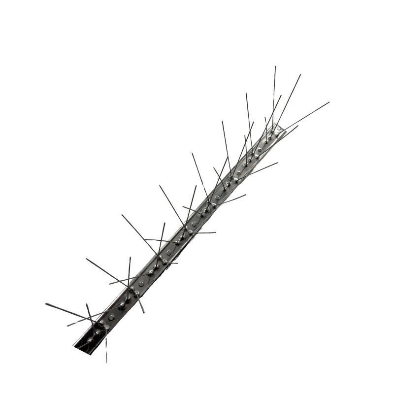 akides-apothisis-poulion-1m-inoch