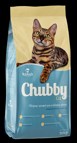 chubby-saki-cat-20kg